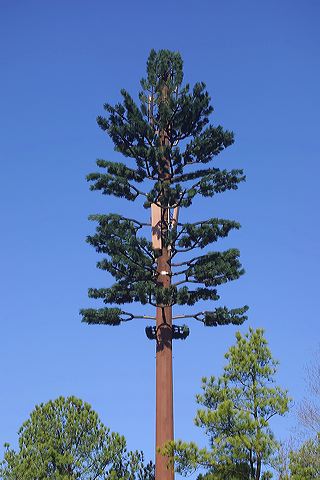 pine_tree_tower_cary_1898.jpg